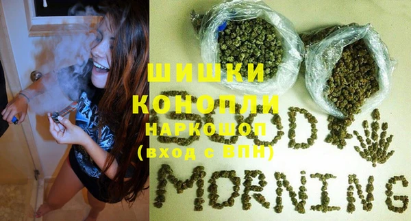 PSILOCYBIN Липки