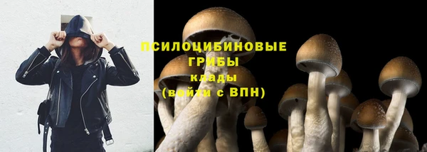 мет Арсеньев