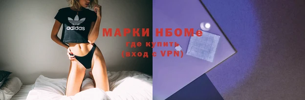 ПСИЛОЦИБИНОВЫЕ ГРИБЫ Магас