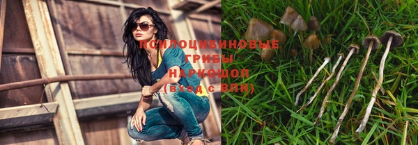 PSILOCYBIN Липки