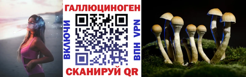 Псилоцибиновые грибы Magic Shrooms  кракен ССЫЛКА  Опочка 